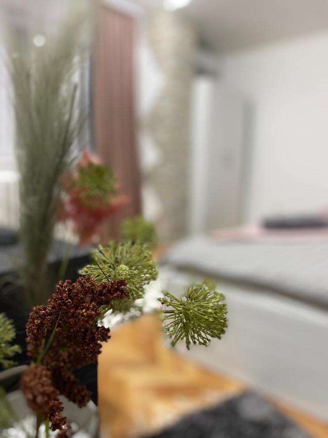 Ni Apartman Bonaca מראה חיצוני תמונה