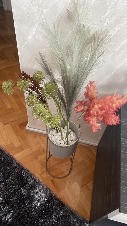 Ni Apartman Bonaca מראה חיצוני תמונה